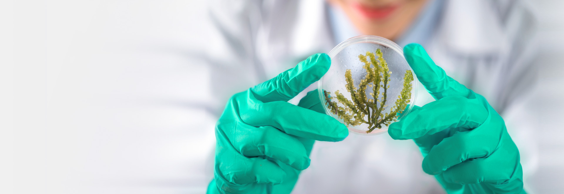 关于尊龙凯时人生就是搏